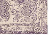 Modern Multicolor Hand Knotted 66 X 99 Area Rug 902-147371 Thumb 3