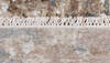 Modern-Contemporary Grey Hand Knotted 41 X 63 Area Rug 254-147496 Thumb 1