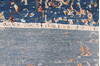 Modern-Contemporary Blue Hand Knotted 90 X 120  Area Rug 254-147515 Thumb 5