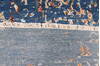 Modern-Contemporary Blue Hand Knotted 90 X 120 Area Rug 254-147515 Thumb 5