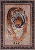Jaipur Grey Hand Knotted 52 X 74 Area Rug 905-147567 Thumb 0