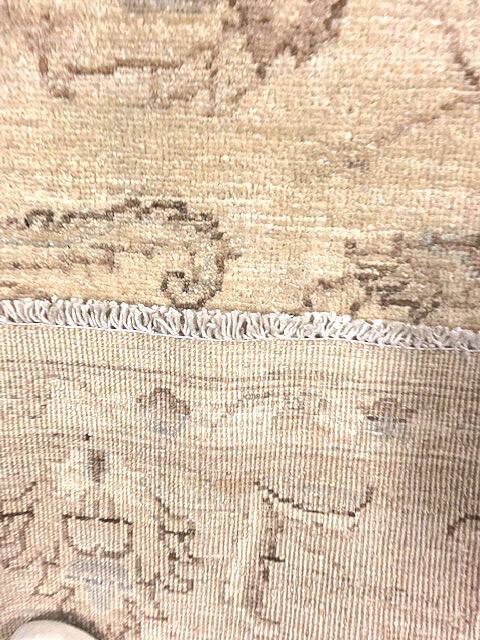 Ziegler Beige Hand Knotted 60 X 90 Area Rug 125-147605 Image 5