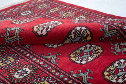 Bokhara Red Hand Knotted 31 X 50 Area Rug 700-147616 Image 6
