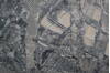 Jaipur White Hand Knotted 80 X 100 Area Rug 124-147670 Thumb 4