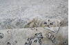 Jaipur Beige Hand Knotted 80 X 100 Area Rug 905-147728 Thumb 8