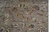 Jaipur Grey Hand Knotted 710 X 911 Area Rug 905-147775 Thumb 4