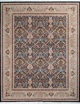 Pak-Persian Black Hand Knotted 8'2" X 10'3"  Area Rug 700-147813