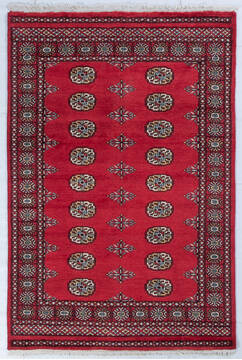 Bokhara Red Hand Knotted 4'1" X 6'0"  Area Rug 700-148063