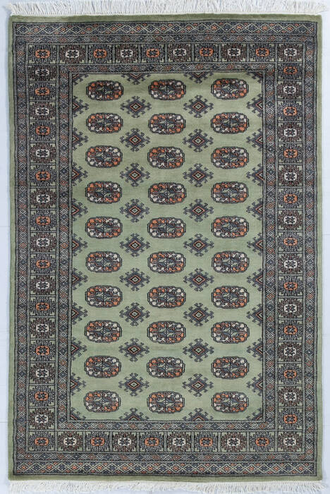 Bokhara Green Hand Knotted 41 X 60 Area Rug 700-148073 Image 0