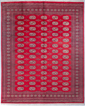 Bokhara Red Hand Knotted 8'2" X 10'1"  Area Rug 700-148102