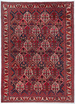 Bakhtiar Red Hand Knotted 7'4" X 10'0"  Area Rug 700-148157