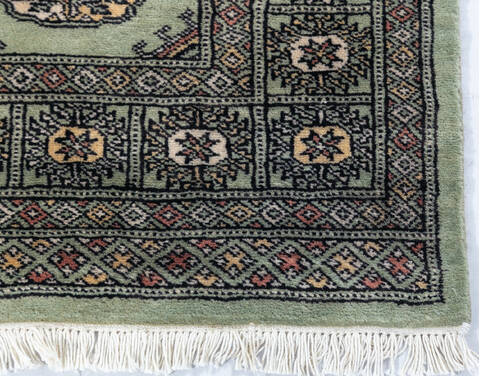 Bokhara Green Hand Knotted 48 X 65 Area Rug 700-148193 Image 4