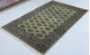 Bokhara Green Hand Knotted 41 X 64 Area Rug 700-148194 Thumb 2