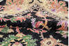 Chobi Black Hand Knotted 83 X 911 Area Rug 700-148202 Thumb 7