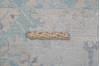 Chobi Light Gray Hand Knotted 60 X 88 Area Rug 700-148270 Thumb 7