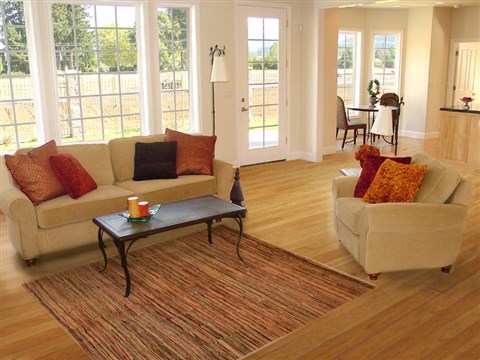 Gabbeh Multicolor Hand Knotted 39 X 59 Area Rug 100-15191 Image 5