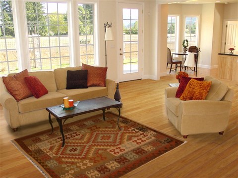 Kilim Red Flat Woven 48 X 71 Area Rug 100-15485 Image 5