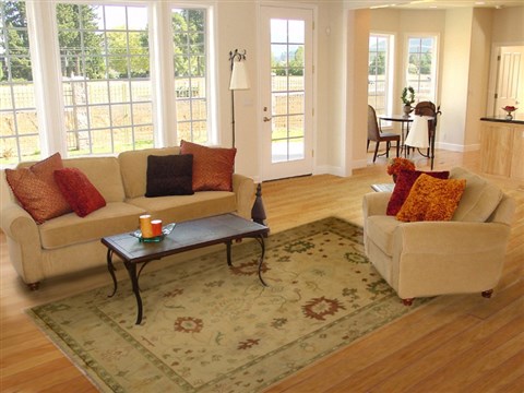 Jaipur Yellow Hand Knotted 80 X 910  Area Rug 100-15613 Image 4