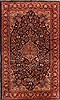 Mahal Blue Hand Knotted 911 X 167  Area Rug 251-15688 Thumb 0