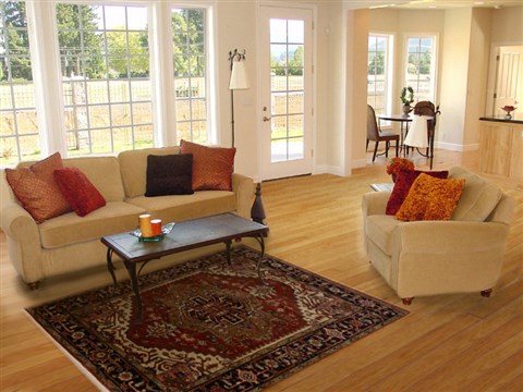 Serapi Red Hand Knotted 50 X 80  Area Rug 100-15766 Image 4