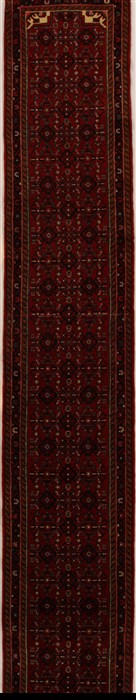 Hamedan Red Runner Hand Knotted 27 X 165  Area Rug 250-15811 Image 0