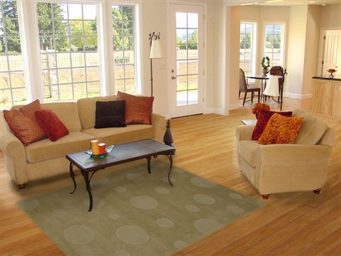 Modern Green Hand Tufted 50 X 80 Area Rug 100-15867 Image 4