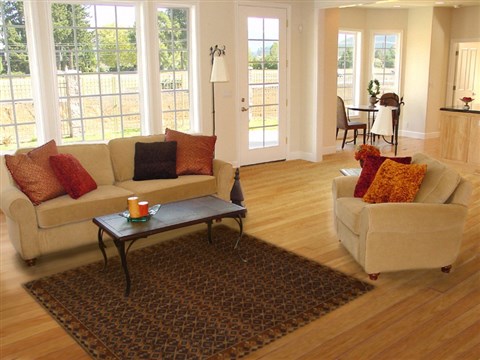Modern Brown Hand Tufted 50 X 80 Area Rug 100-15884 Image 4