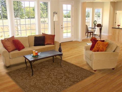 Modern Brown Hand Tufted 50 X 80 Area Rug 100-15892 Image 4