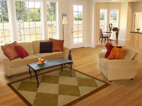 Modern Brown Hand Tufted 50 X 80 Area Rug 100-15894 Image 4