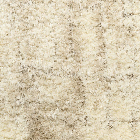 Nourison Luxurious Shag Beige 710 X 910 Area Rug  805-151688 Image 5