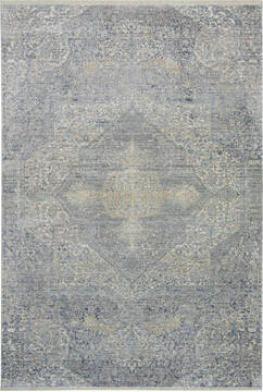 Nourison Silken Weave Blue Rectangle 4x6 ft Polyester and Luxcelle Carpet 153867