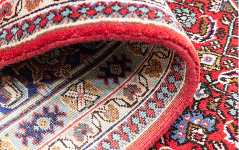 Bhadohi Multicolor Hand Knotted 511 X 810 Area Rug 902-155564 Image 4