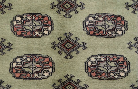 Bokhara Green Hand Knotted 48 X 66 Area Rug 700-155578 Image 4