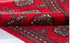Bokhara Red Runner Hand Knotted 27 X 102 Area Rug 700-155599 Thumb 5