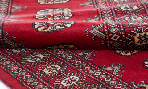 Bokhara Red Runner Hand Knotted 28 X 80 Area Rug 700-155602 Image 5