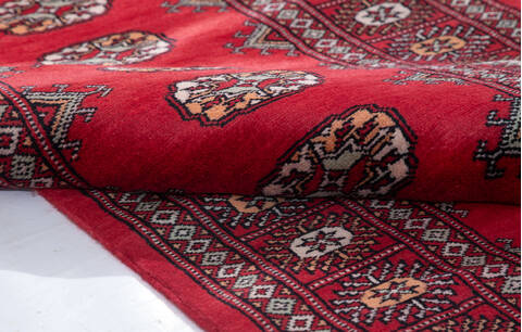 Bokhara Red Runner Hand Knotted 27 X 80 Area Rug 700-155609 Image 5