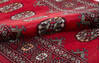 Bokhara Red Runner Hand Knotted 28 X 82 Area Rug 700-155624 Thumb 5