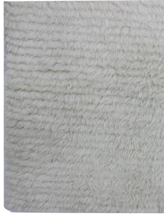 Bhadohi Multicolor Hand Knotted 57 X 80 Area Rug 902-155833 Image 2