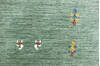 Bhadohi Multicolor Hand Loom Woven 57 X 80 Area Rug 902-155850 Thumb 3