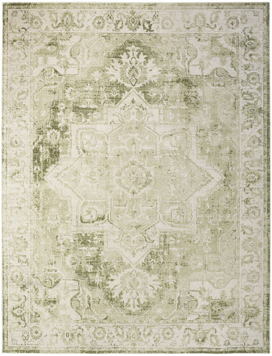 Nourison Astra Machine Washable Green 90 X 120 Area Rug  805-155915 Image 0