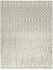 nourison_astra_machine_washable_collection_green_area_rug_155920