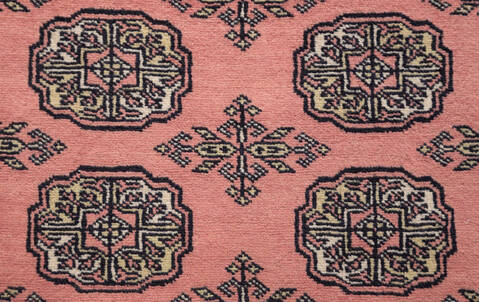 Bokhara Red Hand Knotted 30 X 50 Area Rug 700-156037 Image 6