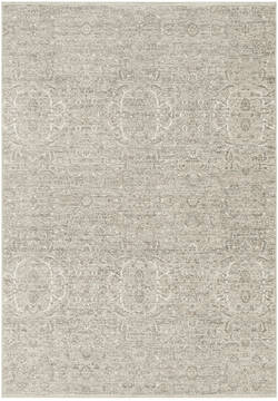 Nourison Outlines Grey Rectangle 5x7 ft Polyester Carpet 156076