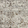 Nourison Royal Terrace Beige 53 X 73 Area Rug 805-156085 Thumb 5