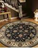 Nourison Nourison 2000 Blue Oval 76 X 96 Area Rug 805-156088 Thumb 1