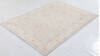 Chobi Beige Hand Knotted 50 X 68  Area Rug 700-156095 Thumb 2
