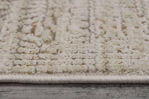 Dynamic AIMON Beige 67 X 910 Area Rug AI71016656980 801-156110 Image 1