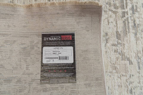 Dynamic AIMON Grey 53 X 77 Area Rug AI6916657919 801-156111 Image 2