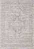 Dynamic AIMON Grey 53 X 77 Area Rug AI6916657919 801-156111 Thumb 0