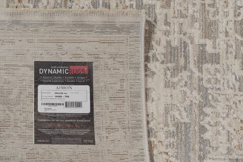 Dynamic AIMON Grey 53 X 77 Area Rug AI6916658798 801-156113 Image 2